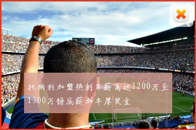 托纳利加盟热刺年薪高达1200万至1300万镑底薪加丰厚奖金